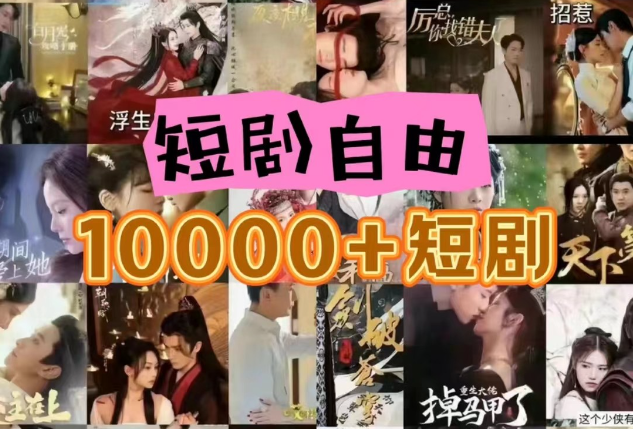 打造完全属于自己的个人短剧库，实现网盘拉新与私域变现的完美融合！-观棋网创