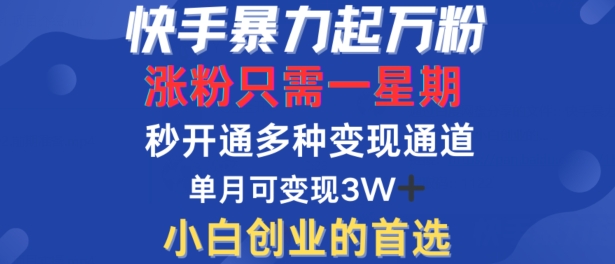 快手暴力起万粉，涨粉只需一星期，多种变现模式，直接秒开万合，单月变现过W【揭秘】-观棋网创