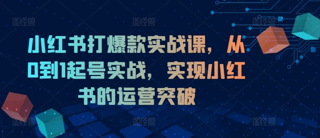 小红书打爆款实战课，从0到1起号实战，实现小红书的运营突破-观棋网创