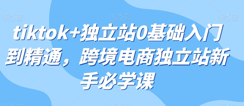 tiktok+独立站0基础入门到精通，跨境电商独立站新手必学课-观棋网创