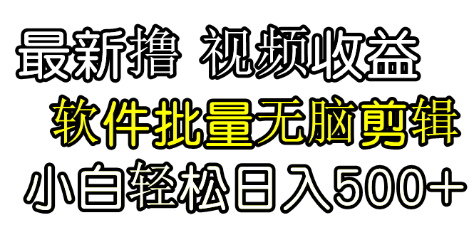 (9569期)发视频撸收益，软件无脑批量剪辑，第一天发第二天就有钱-观棋网创