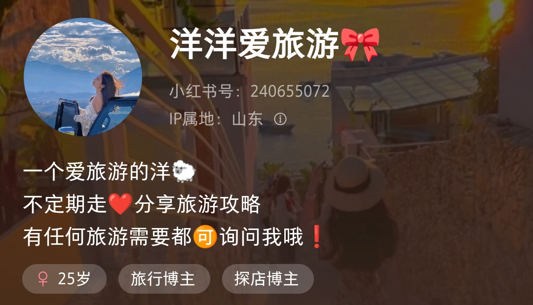 小红书高客单定制游从0到1怎么做?八千字保姆级教程分享给大家!-搞薯条网