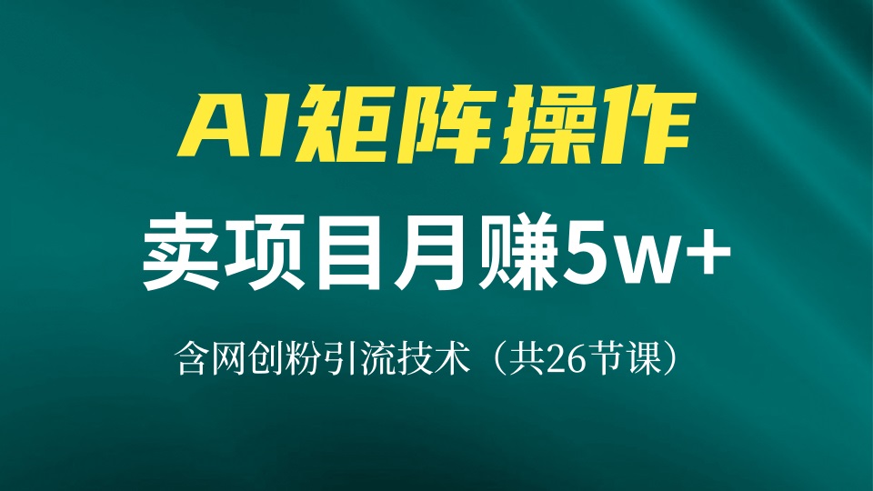 网创IP打造课，借助AI卖项目月赚5万+，含引流技术(共26节课-观棋网创