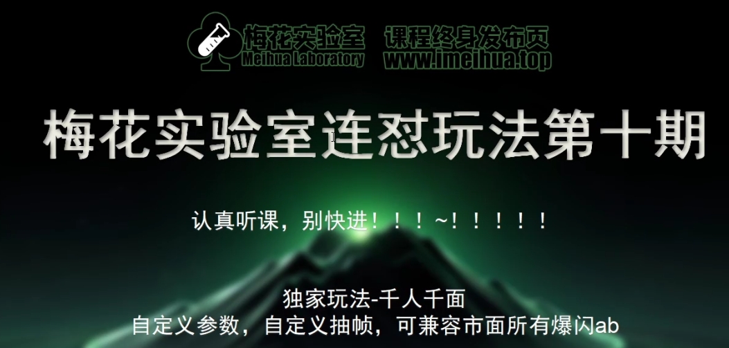 梅花实验室社群专享课视频号连怼玩法第十期课程+第二部分-FF助手全新高自由万能爆闪AB处理-观棋网创