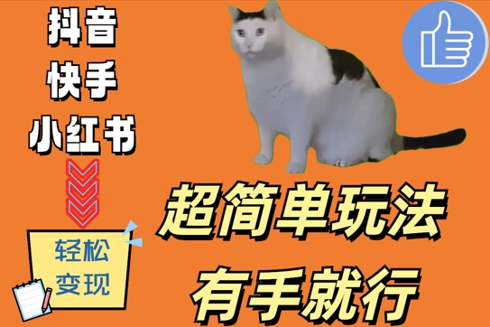 超简单玩法，有手就行，靠猫咪视频日入500+【揭秘】-观棋网创