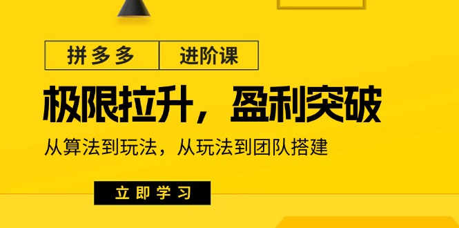 拼多多·进阶课：极限拉升/盈利突破：从算法到玩法 从玩法到团队搭建-18节-观棋网创