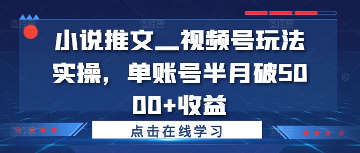 小说推文—视频号玩法实操，单账号半月破5000+收益-观棋网创