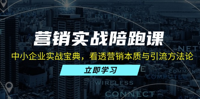 营销实战陪跑课：中小企业实战宝典，看透营销本质与引流方法论-观棋网创