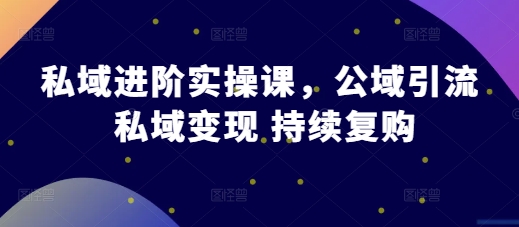 私域进阶实操课，公域引流 私域变现 持续复购-观棋网创