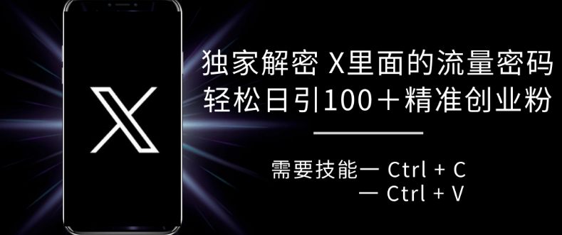 独家解密 X 里面的流量密码，复制粘贴轻松日引100+-观棋网创