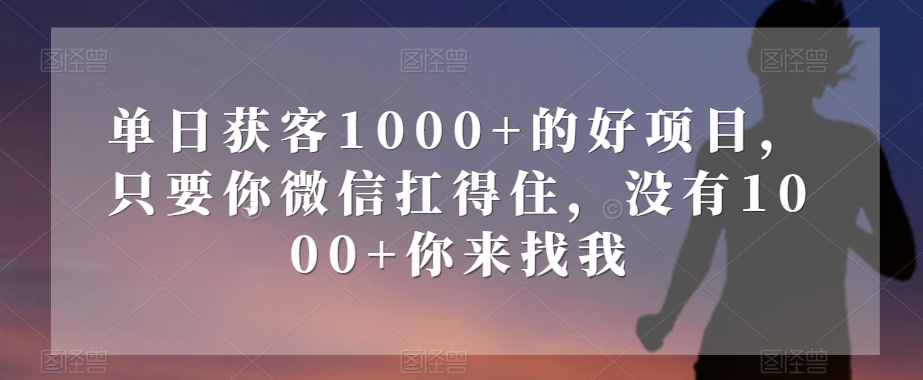 单日获客1000+的好项目，只要你微信扛得住，没有1000+你来找我【揭秘】-观棋网创