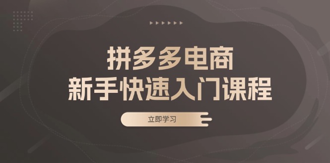 拼多多电商新手快速入门课程：涵盖基础、实战与选款，助力小白轻松上手-观棋网创