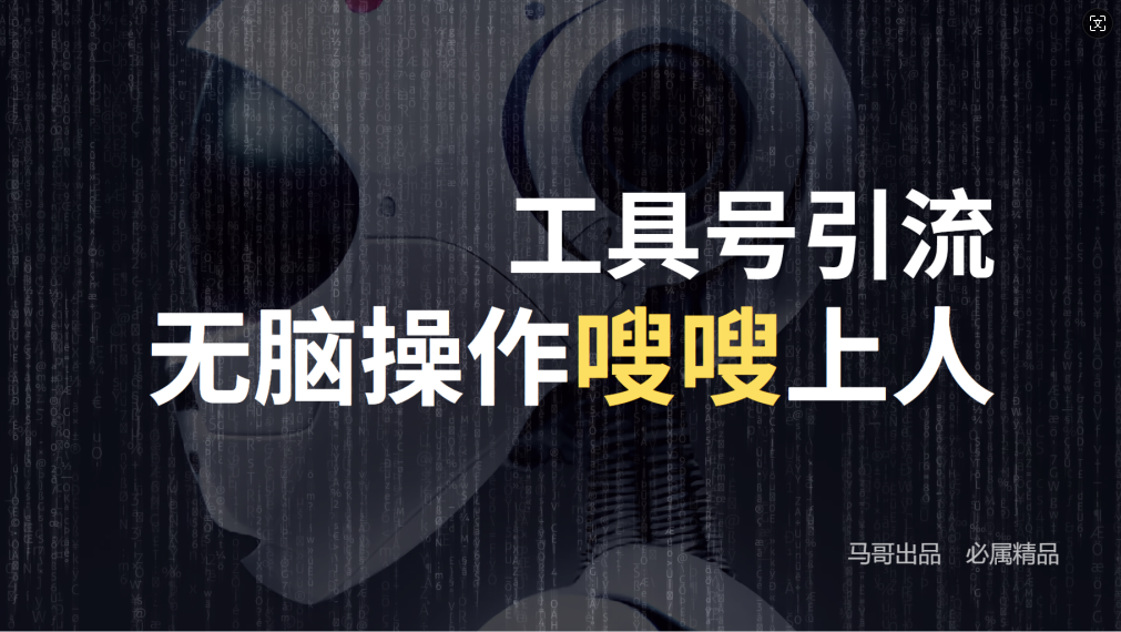24年抖音最新工具号日引流300+创业粉，日入5000+-观棋网创