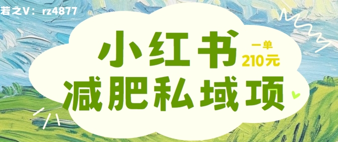 小红书减肥粉，私域变现项目，一单就达210元，小白也能轻松上手【揭秘】-观棋网创