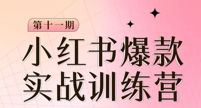 小红书博主爆款训练营第11期，手把手教你从0-1做小红书，从定位到起号到变现-观棋网创
