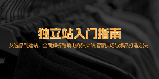 独立站入门指南：从选品到建站，全面解析跨境电商独立站运营技巧与爆品…-观棋网创