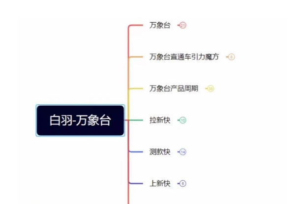 白羽·直引万搜索全篇，从0-1，多个类目实操经验总结付费-观棋网创