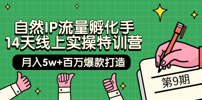 (9881期)自然IP流量孵化手 14天线上实操特训营【第9期】月入5w+百万爆款打造 (74节)-观棋网创