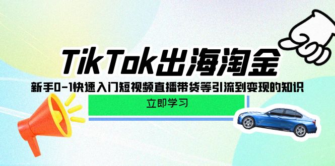 (10035期)TikTok-出海淘金，新手0-1快速入门短视频直播带货等引流到变现的知识-观棋网创