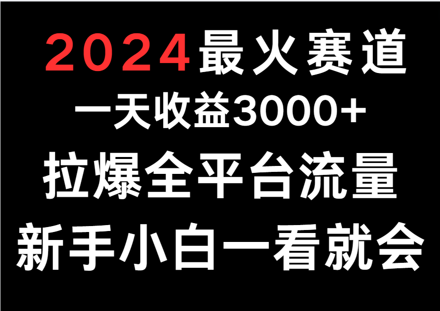 2024最火赛道，一天收一3000+.拉爆全平台流量，新手小白一看就会-观棋网创