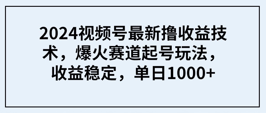 (9651期) 2024视频号最新撸收益技术，爆火赛道起号玩法，收益稳定，单日1000+-观棋网创