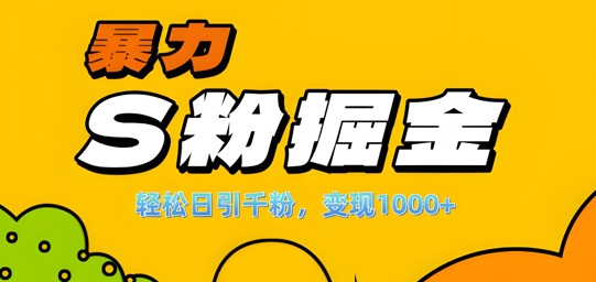 单人单机日引千粉，变现1k+，S粉流量掘金计划攻略【揭秘】-观棋网创