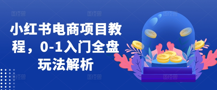 小红书电商项目教程，0-1入门全盘玩法解析-观棋网创