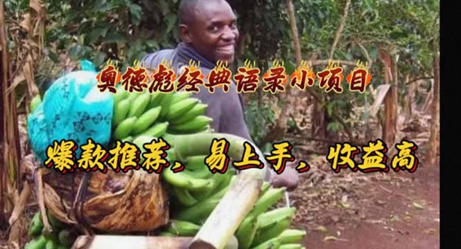 奥德彪经典语录小项目，爆款推荐，易上手，收益高-观棋网创