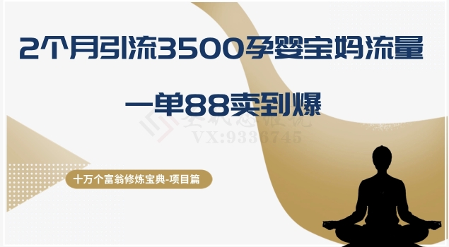 十万个富翁修炼宝典之13.2个月引流3500孕婴宝妈流量，一单88卖到爆-观棋网创