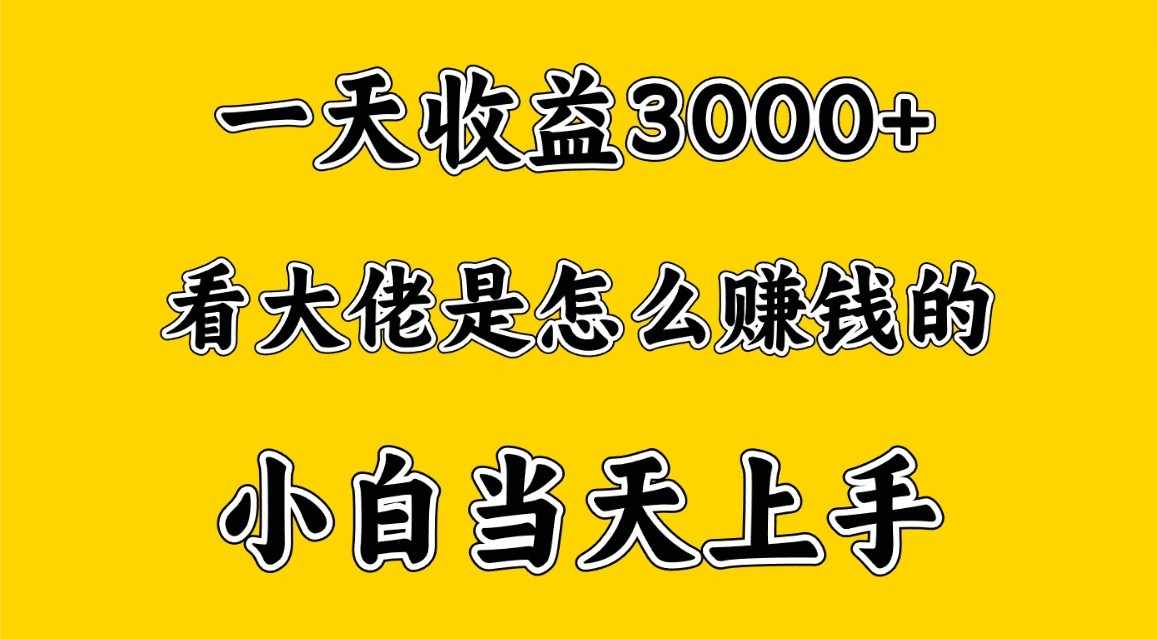 一天赚3000多，大佬是这样赚到钱的，小白当天上手，穷人翻身项目-观棋网创