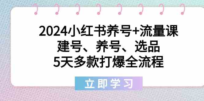 2024小红书养号+流量课：建号、养号、选品，5天多款打爆全流程-观棋网创