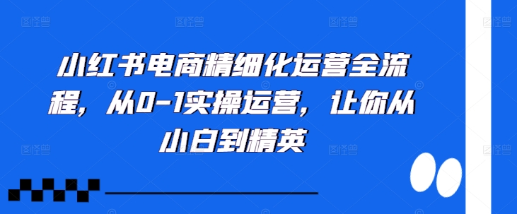 小红书电商精细化运营全流程，从0-1实操运营，让你从小白到精英-观棋网创