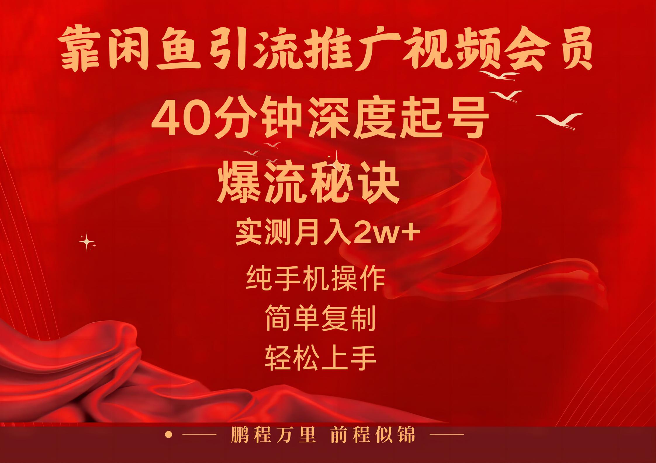 闲鱼暴力引流推广视频会员，能做到日入2W+，操作简单-观棋网创