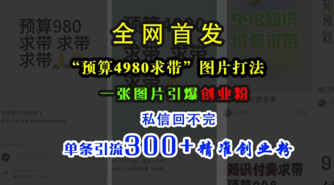 小红书“预算4980带我飞”图片打法，一张图片引爆创业粉，私信回不完，单条引流300+精准创业粉-观棋网创