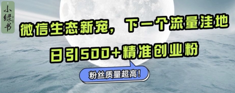 微信生态新宠小绿书：下一个流量洼地，日引500+精准创业粉，粉丝质量超高-观棋网创