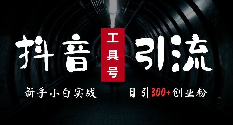 2024最新抖音工具号引流玩法，高效日引300+创业粉，当天变现5k，小白也可成为实战高手-观棋网创