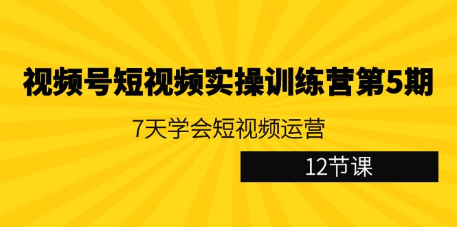 视频号短视频实操训练营第5期：7天学会短视频运营(12节课)-观棋网创