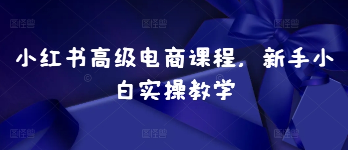 小红书高级电商课程，新手小白实操教学-观棋网创
