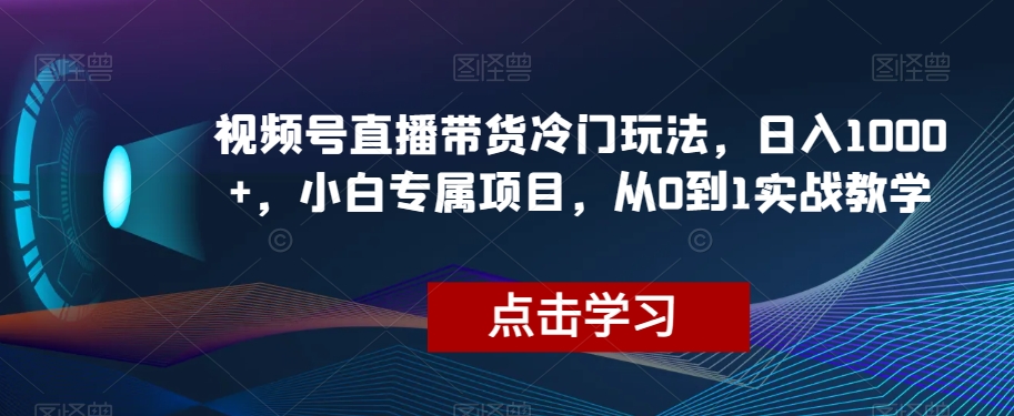 视频号直播带货冷门玩法，日入1000+，小白专属项目，从0到1实战教学【揭秘】-观棋网创