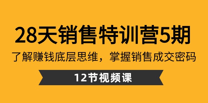 28天销售特训营5期：了解赚钱底层思维，掌握销售成交密码（12节课）-观棋网创