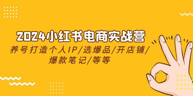 2024小红书电商实战营，养号打造IP/选爆品/开店铺/爆款笔记/等等(24节)-观棋网创