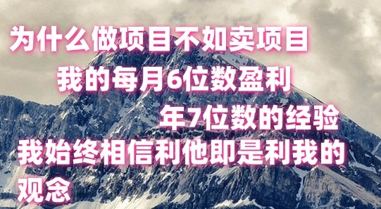 做项目不如卖项目，每月6位数盈利，年7位数经验-观棋网创