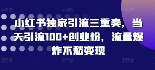 小红书独家引流三重奏，当天引流100+创业粉，流量爆炸不愁变现【揭秘】-观棋网创