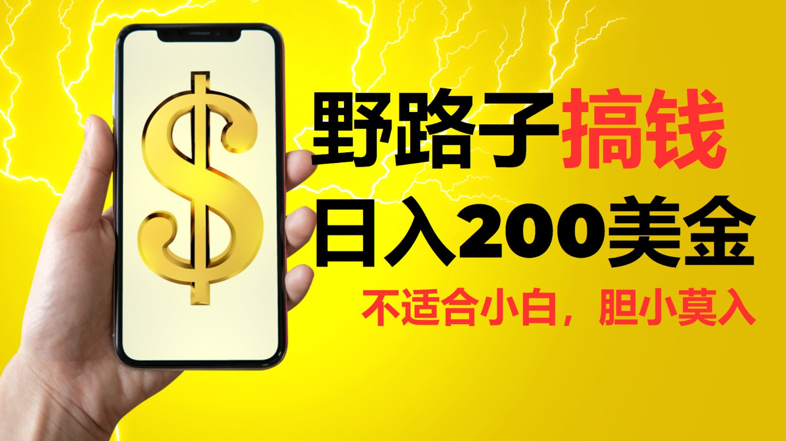 挂机野路子搞钱，日入200美金，路子很野，小白莫入-观棋网创