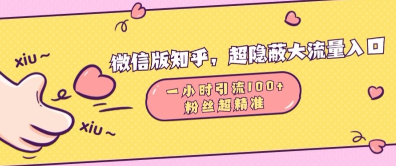 微信版知乎，超隐蔽流量入口1小时引流100人，粉丝质量超高【揭秘】-观棋网创