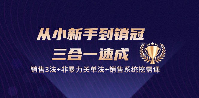 从小新手到销冠 三合一速成：销售3法+非暴力关单法+销售系统挖需课 (27节-观棋网创
