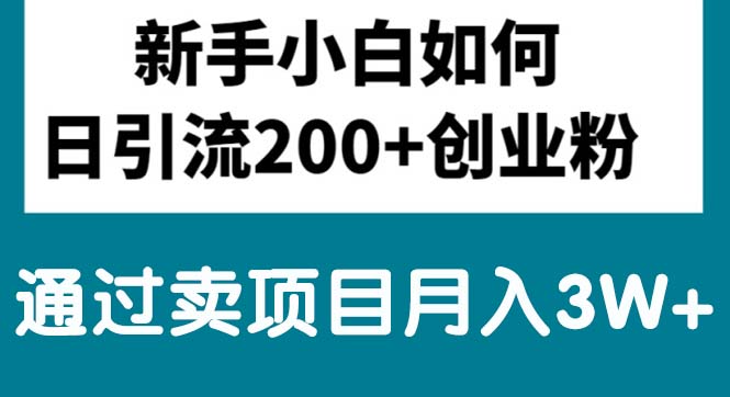 新手小白日引流200+创业粉,通过卖项目月入3W+-观棋网创