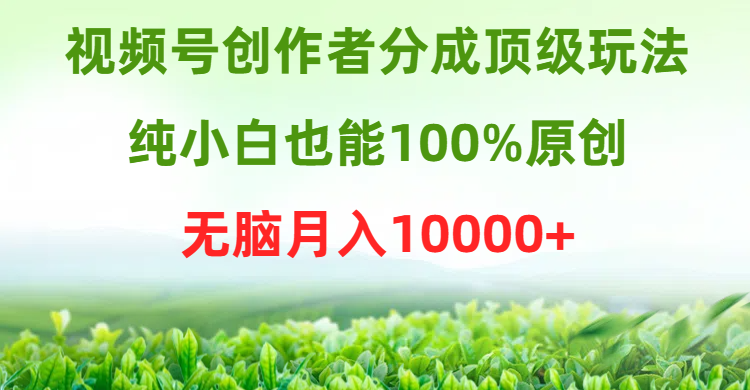 (9608期)视频号创作者分成顶级玩法，纯小白也能100%原创，无脑月入10000+-观棋网创