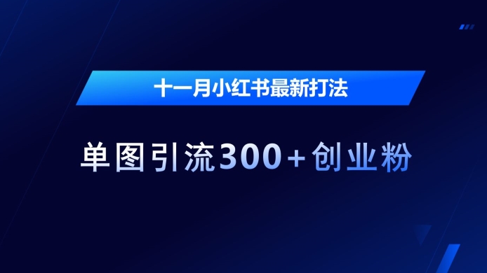 十一月小红书最新打法，单图引流300+创业粉【揭秘】-观棋网创