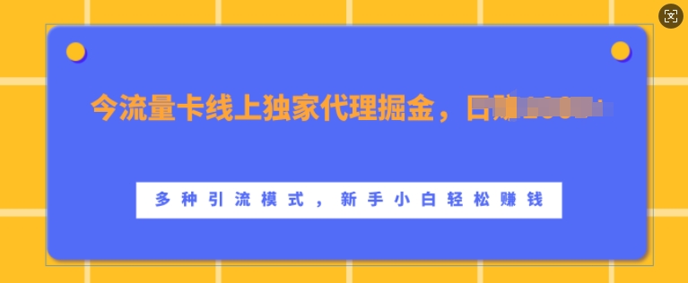 流量卡线上独家代理掘金，日入1k+ ，多种引流模式，新手小白轻松上手【揭秘】-观棋网创